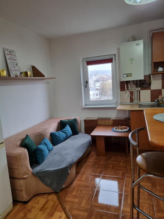 Marya'S Apartamento Râmnicu Vâlcea Exterior foto